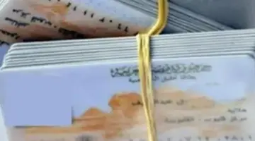 لو عندك شغل ما تسيبهوش.. إزاي تطلع أوراقك المهمة في الإجازة؟